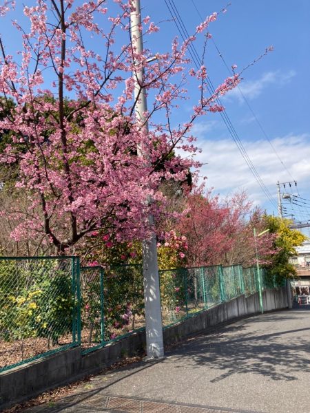 画像：新卒1年目終了のご挨拶