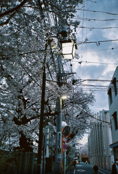 画像：新卒スタッフの山脇です！