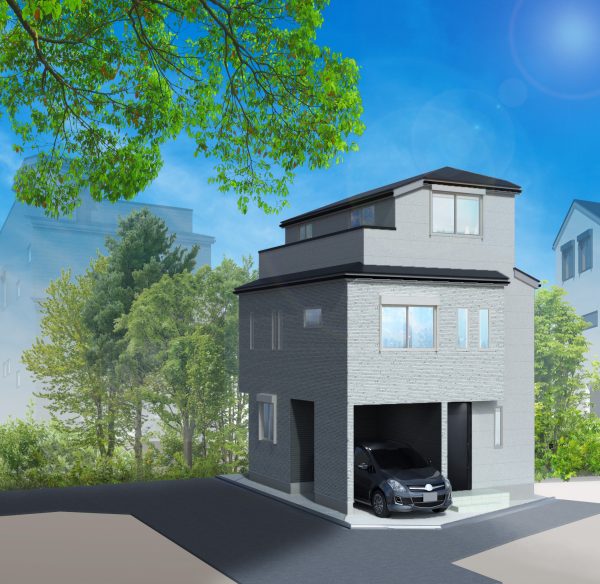 画像：新築一戸建　東武練馬2棟