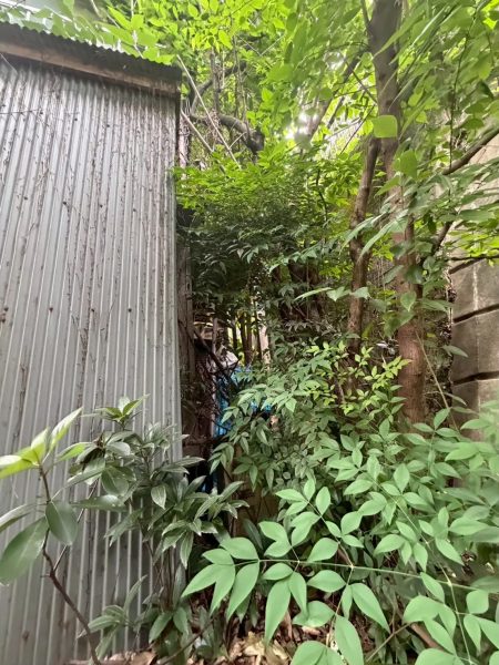 画像：家の掃除に行ったら、右腕が筋肉痛になりました
